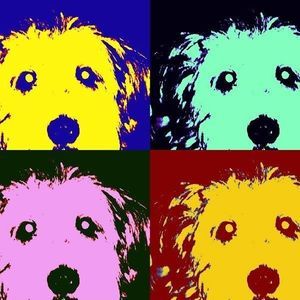 Meet your Posher, Veronica